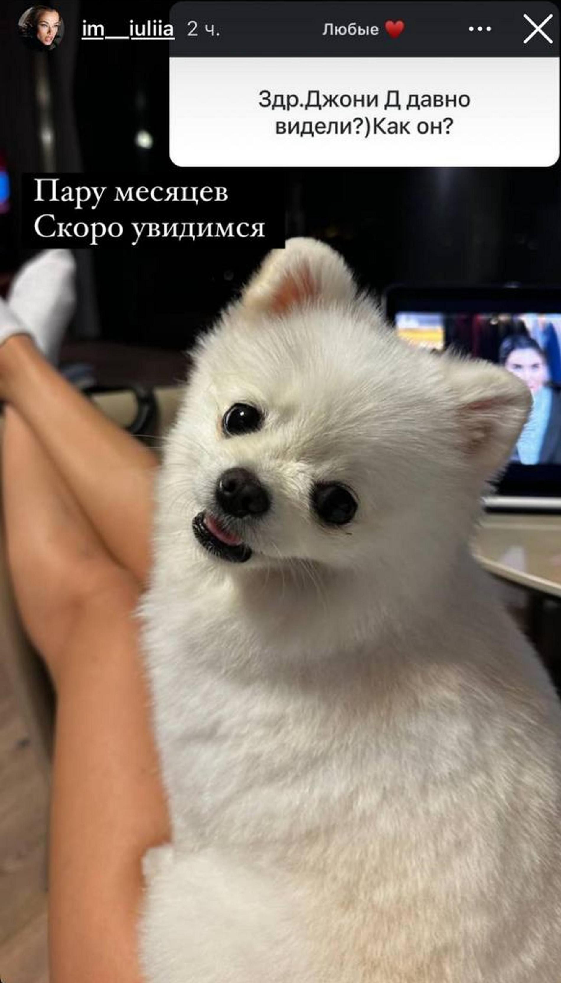 Скриншот: Инстаграм (запрещен в РФ) @im__iuliia