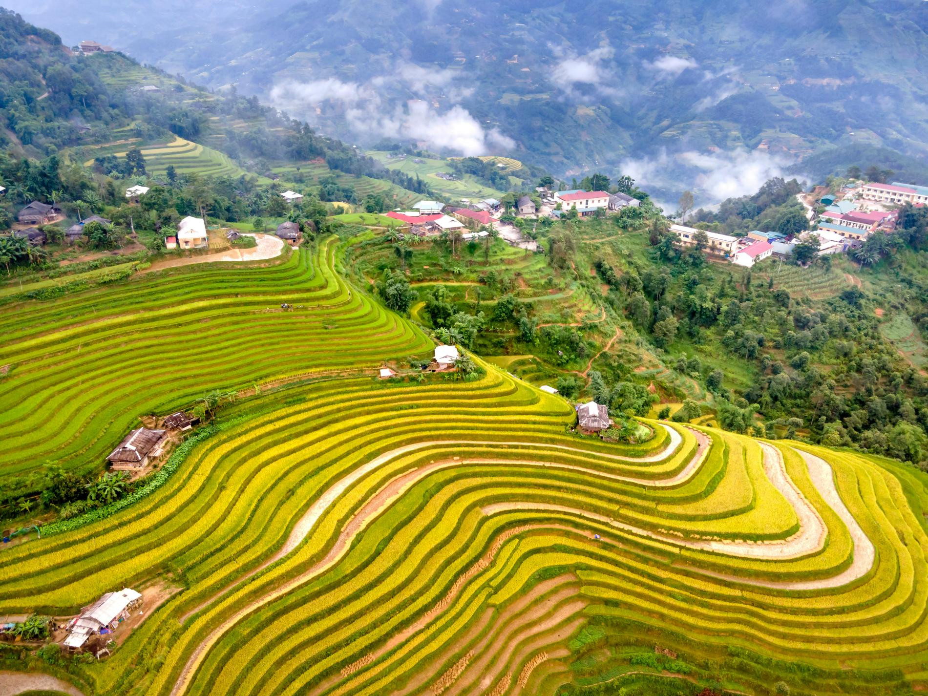 Фото: Quang Nguyen Vinh / pexels.com