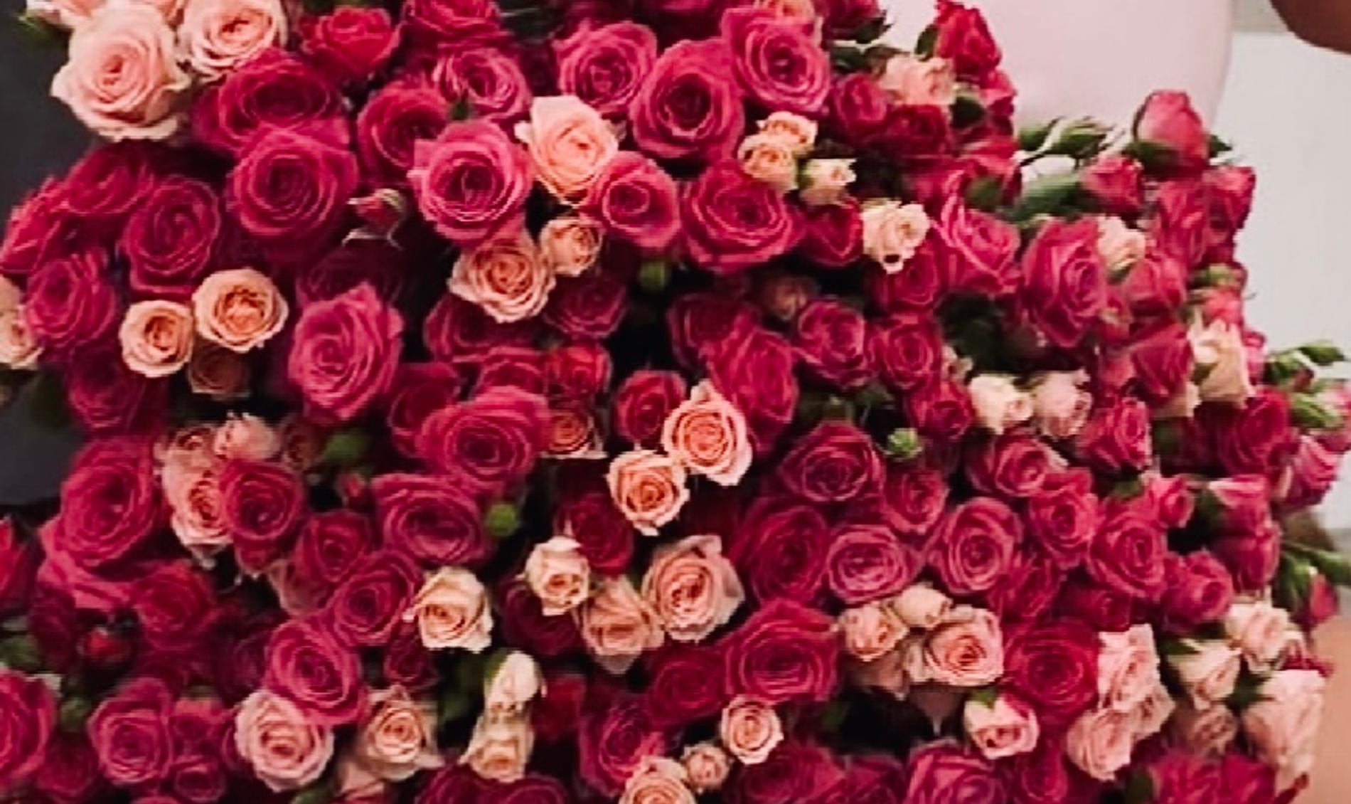 Алёна Краснова. Фото: Инстаграм (запрещён в РФ) @alenaakrasnova