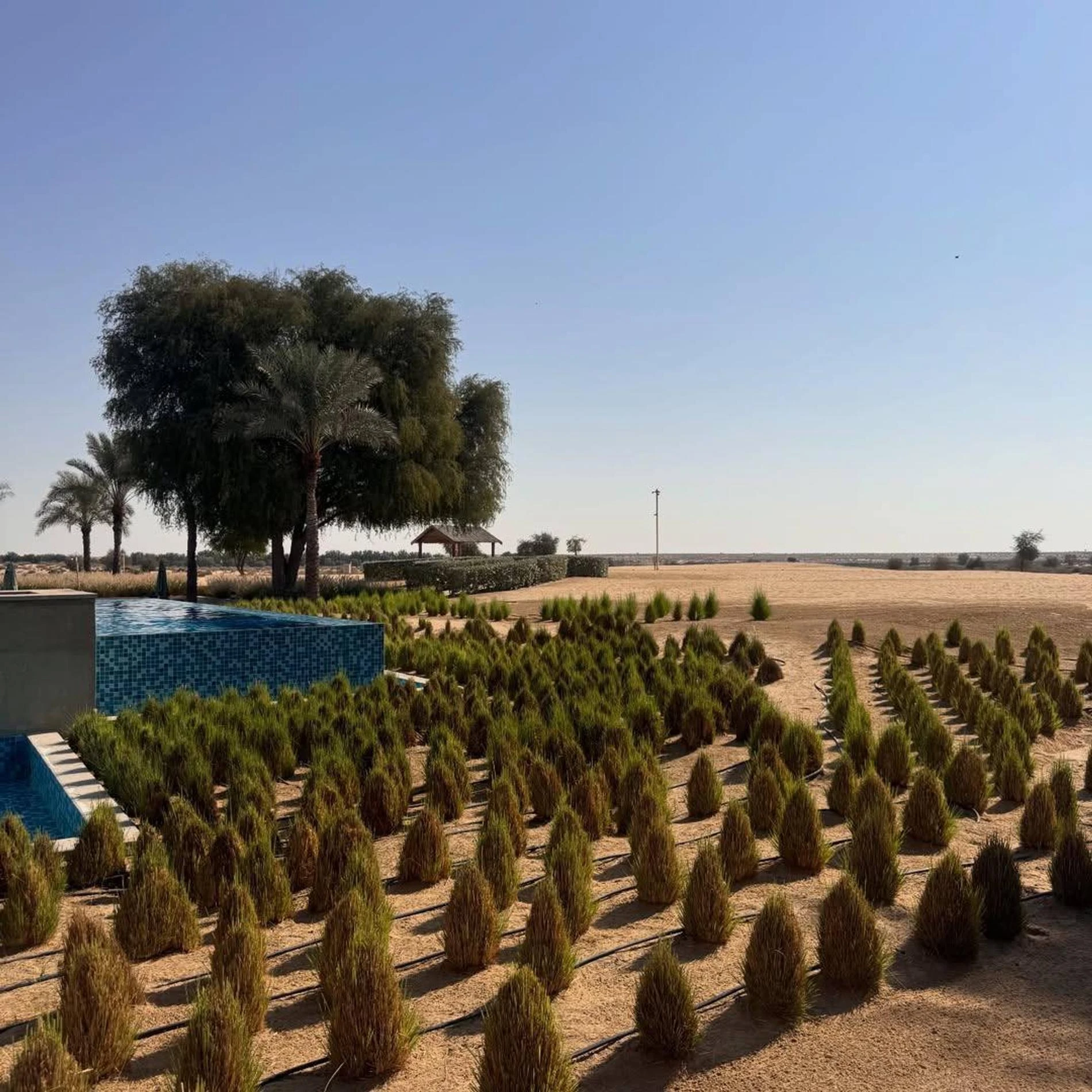 Фото: ТГ-канал annsemenovich