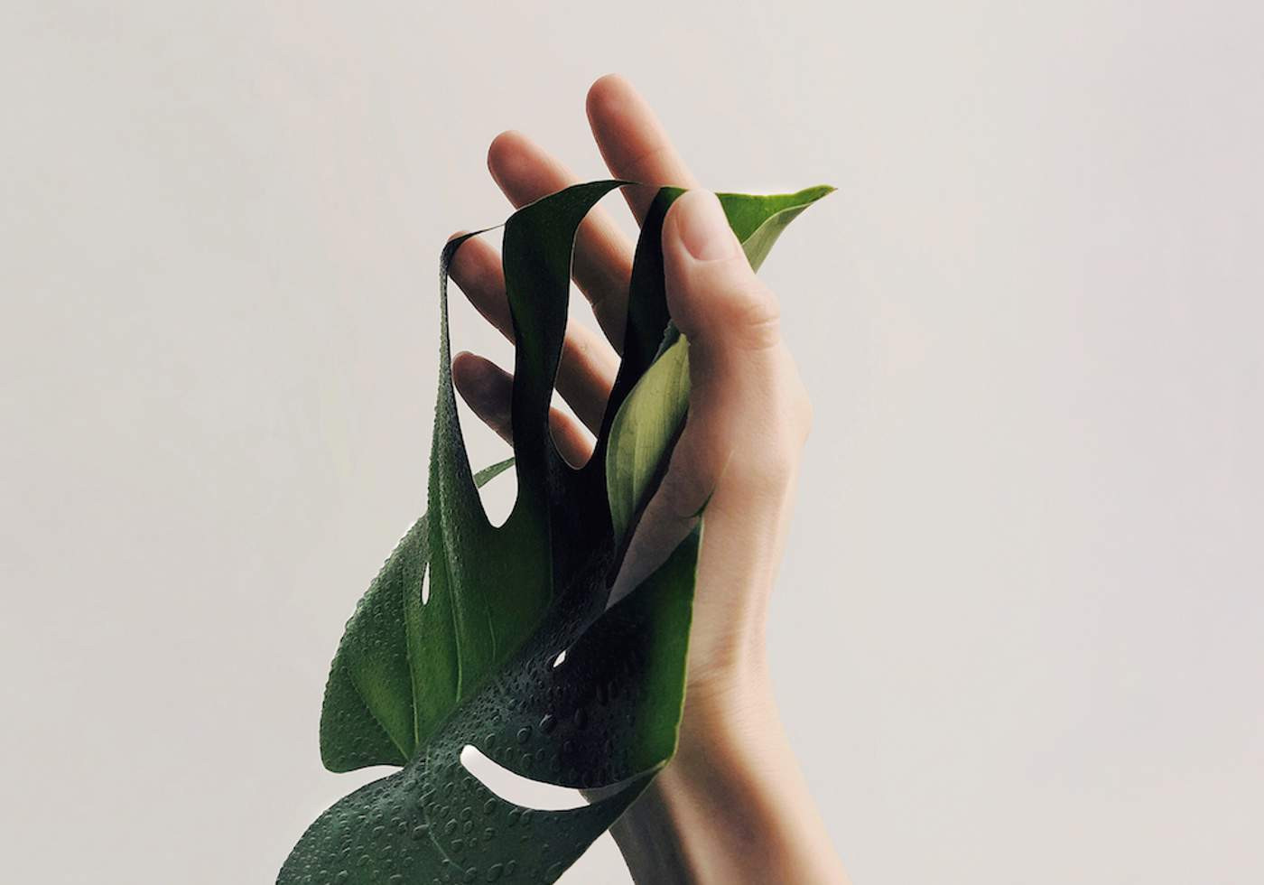Фото © Pexels.com
