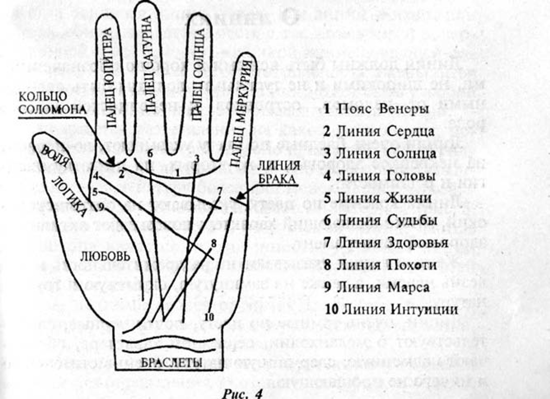 Линия Богатства На Руке Фото С Расшифровкой