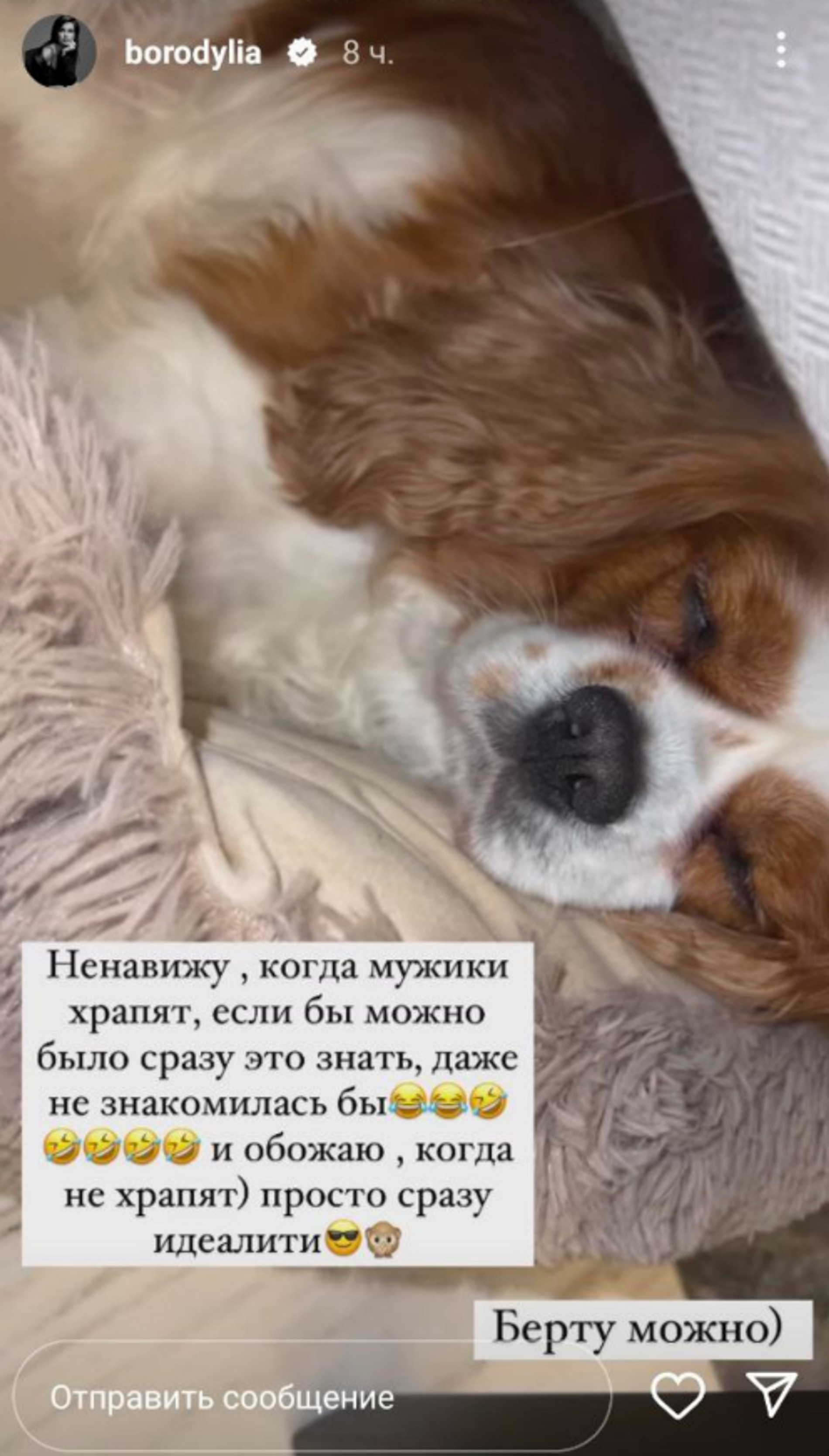 Какая порода собаки у бородиной ксении