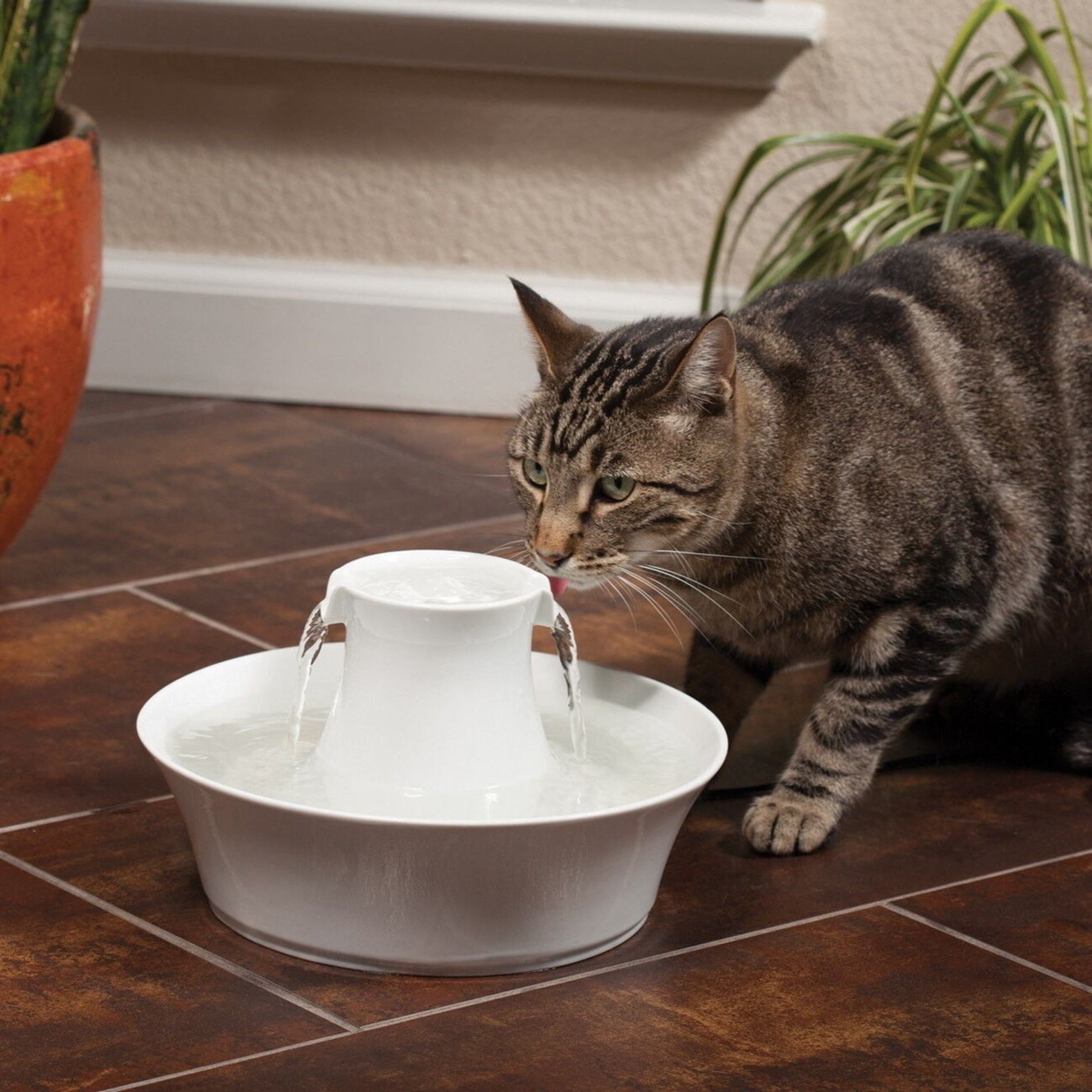 Кошки пьют лапой. Фонтанчик для кошек. Керамическая поилка для кошек. Поилка фонтан для кошек. Кошачьи миски фонтанчик для кошки.