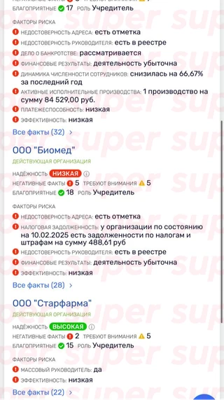 Данные о компаниях Светланы Шпигель. Фото: RusProfile