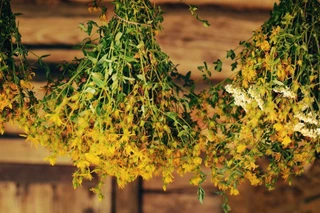 Отгонит любую чертовщину, а когда засохнет, станет чаем. Красота!