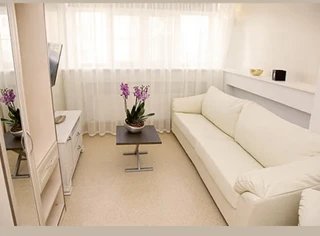 А вот если вы положили глаз на двухкомнатную палату «Люкс-апартаменты», приготовьте 4500 евро (278 тысяч рублей)