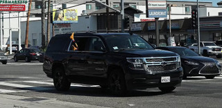 Фото: Daily Mail