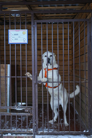 Фото: Super.ru / Александра Марченко