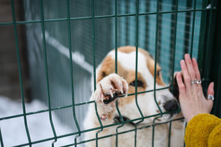 Фото: Super.ru / Александра Марченко