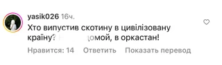 Комментарии хейтеров на страницы Анны Линниковой в Инстаграме (запрещен в РФ)