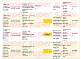 Задолженности Трофима Симищенко. Фото: скрин с сайта ФССП