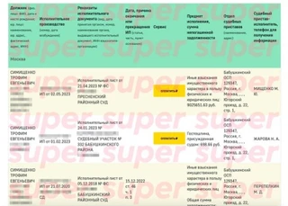 Задолженности Трофима Симищенко. Фото: скрин с сайта ФССП