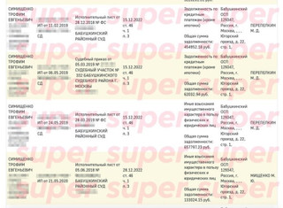 Задолженности Трофима Симищенко. Фото: скрин с сайта ФССП