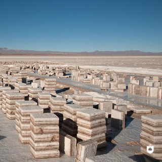 Фото: Инстаграм (запрещен в РФ) @palaciodesal