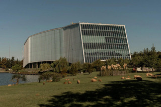 Нордельта. Фото: The New York Times