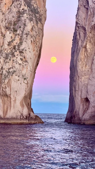 Фото: Telegram @dibrovapolina