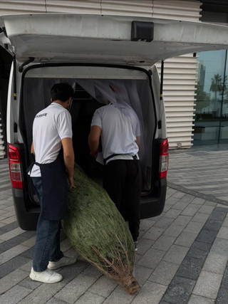 Фото: Инстаграм (запрещён в РФ) @anna_zavorotnyuk