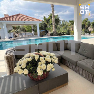 Фото: Telegram @shot_shot