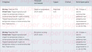 Дело Романа и Елены Товстик об определении места жительства детей при раздельном проживании родителей. Фото: Мосгорсуд