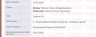 Дело о разводе Романа и Елены Товстик. Фото: портал единого городского пространства Мировых судей Москвы