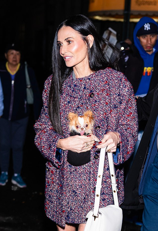 Деми Мур. Фото: Daily Mail