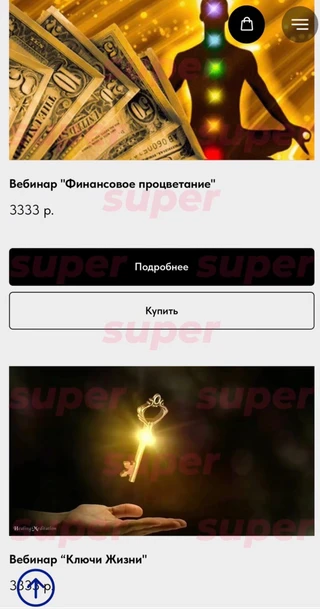 Список курсов, которые продаёт Светлана Чекалина. Фото: сайт героини материала