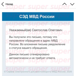 Скриншот, как утверждает Святослав Гусев, подтверждения отправки его электронного заявления в МВД на Диану Шурыгину. Фото: предоставлено героем материала