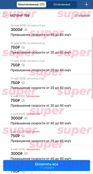 Штрафы за нарушение ПДД на автомобиль, который предположительно принадлежит семье Анны Рудневой. Скриншот: сервис «Штрафы ГИБДД»