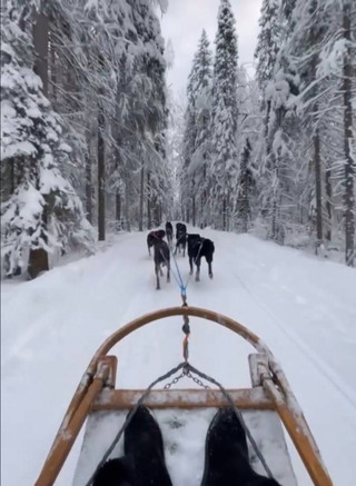 Instagram.com @sezhukov