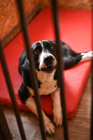 Ника. Фото: Super.ru / Александра Марченко