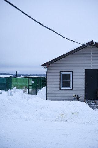 Вольеры и дом, где обитают Соломон и Ника. Фото: Super.ru / Александра Марченко