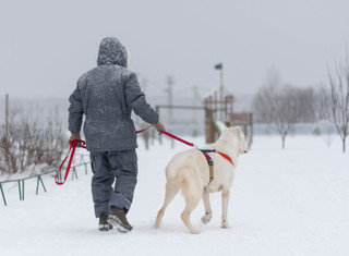 Аза на прогулке. Фото: DogSpace / Виктория Дьячкова