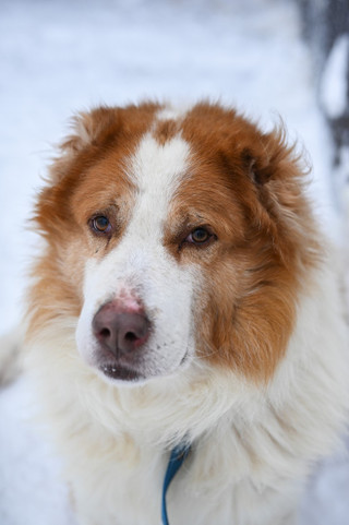 Фото: Super.ru / Александра Марченко
