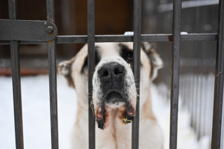 Фото: Super.ru / Александра Марченко