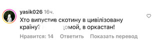 Комментарии хейтеров на страницы Анны Линниковой в Инстаграме (запрещен в РФ)