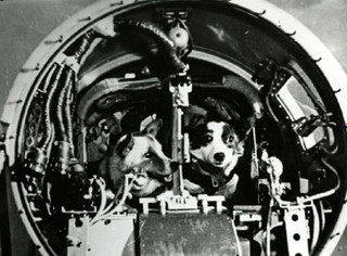 Цыган и Дезик в космическом корабле. Источник: Roscosmos.ru