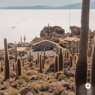 Фото: Инстаграм (запрещен в РФ) @palaciodesal