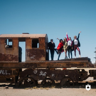 Фото: Инстаграм (запрещен в РФ) @palaciodesal