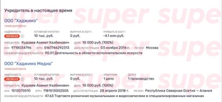 Данные о ликвидированных ООО, принадлежащих MiyaGi. Фото: rusprofile.ru