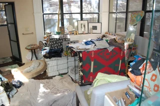 Обстановка в доме Джина Хэкмена и Бетси Аракавы после их смерти. Фото: Page Six