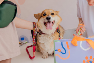 Участник фестиваля «Лапки». Фото: пресс-служба