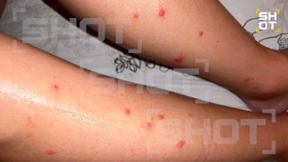 Фото: телеграм-канал Shot