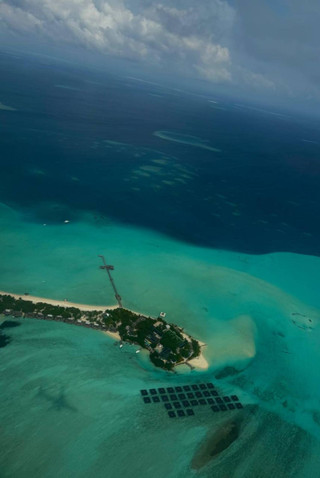 Кадр из самолёта. Фото: Инстаграм (запрещён в РФ) @dinaverina98