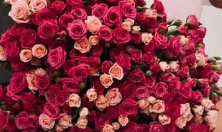 Алёна Краснова. Фото: Инстаграм (запрещён в РФ) @alenaakrasnova