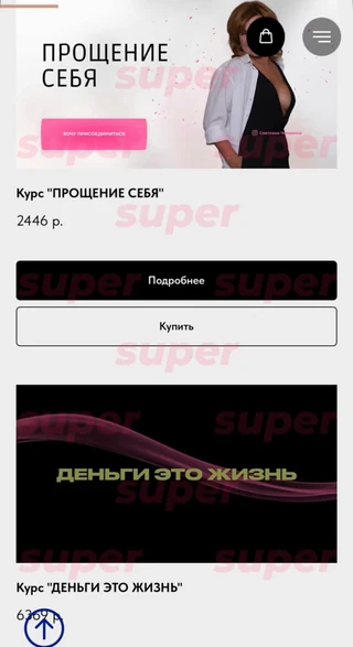 Список курсов, которые продаёт Светлана Чекалина. Фото: сайт героини материала