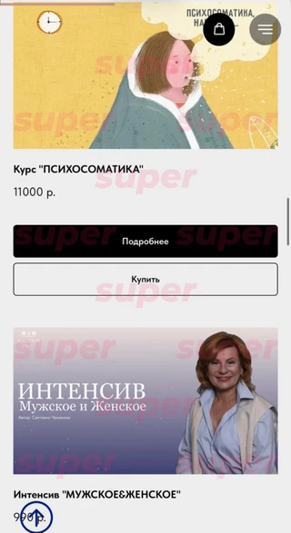 Список курсов, которые продаёт Светлана Чекалина. Фото: сайт героини материала