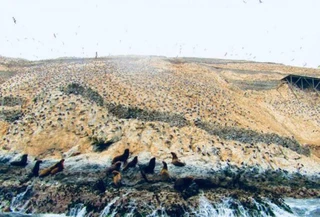 Фото: Telegram-канал Samoylovaoxana