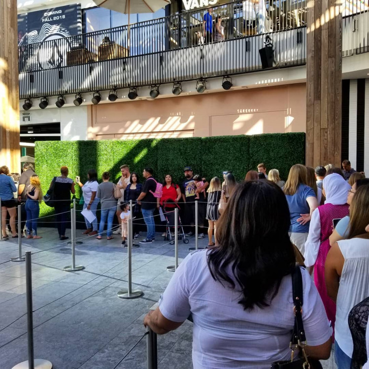 Фото: соцсети