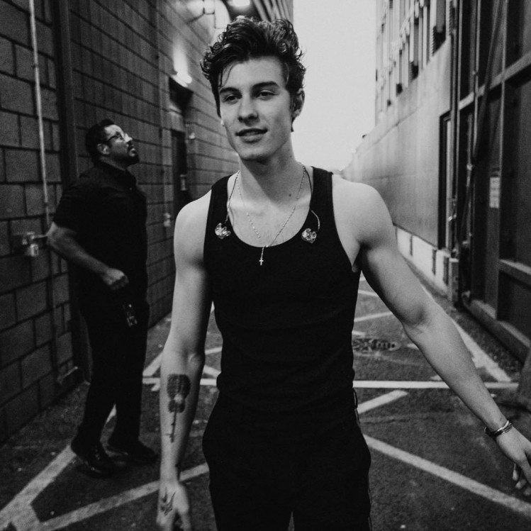 Фото: instagram.com/shawnmendes